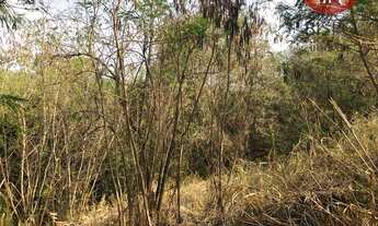 Imagem 3: Terreno à venda, 9000 m² por R$ 7.200.000,00 - Chácara Machadinho II - Americana/SP