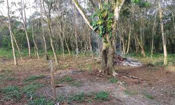 Imagem 6: Terreno à venda, Praia do Sapê, Ubatuba, SP