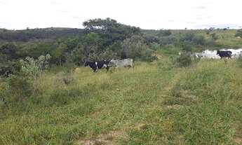 Imagem 4: Fazendinha Maquiné de 20.000m² a 10km da BR040