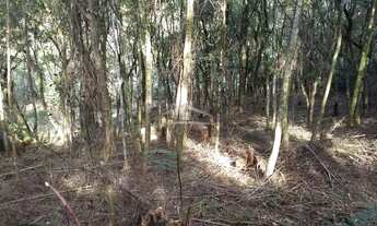 Imagem 2: CANELA - Terreno Padrão - Santa Terezinha