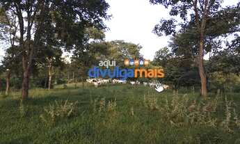Imagem: Fazenda a venda de 68 alqueires para pecuária