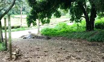 Imagem 1: Lotes Na Serra A 2Km Do Centro Do Pacoti E 07 De Guaramiranga Vem Para Esse Paraiso. n°:0