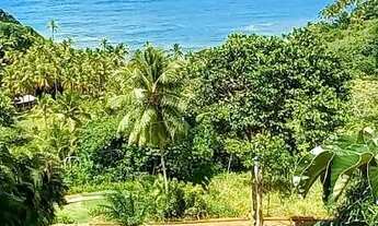 Imagem: TERRENO RESIDENCIAL em ITACARÉ - BA, ITACARÉ