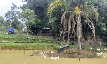 Imagem 4: Fazenda/Sítio/Chácara para venda tem 300 metros quadrados com 3 quartos