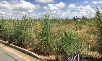 Imagem 3: O terreno tem 55 m que fazem frente para a RR 205