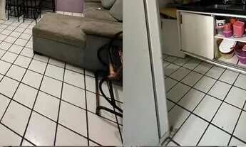 Imagem: Venda apartamento