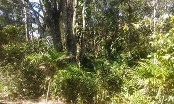 Imagem 2: Terreno Itapoá 336,00m² documentação 100% - Apenas 1,300 mts do Mar (com rua aberta)!