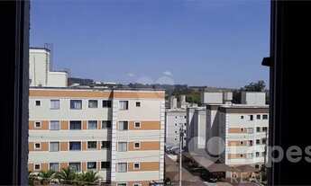 Imagem 3: Apartamento - Loteamento Parque São Martinho - Campinas