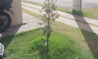 Imagem: Aluguel apartamento