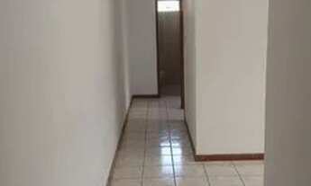 Imagem 7: Alugo Apartamento 2 quartos, 1 vaga coberta no Bairro Castelo