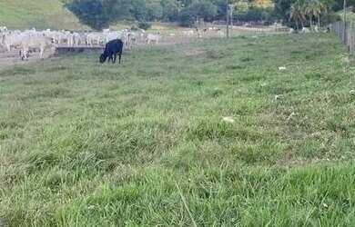 Imagem 6: Fazenda para Venda em Rio Bonito, Agro Brasil, 3 dormitórios, 1 suíte, 2 banheiros
