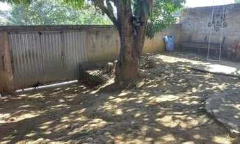 Imagem 4: Vendo ou troco por terra na roça