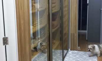 Imagem 6: Apartamento no Jardim São Caetano, SCS - 186 m² 4 suítes, 3 vagas, decorado, terraço gourm