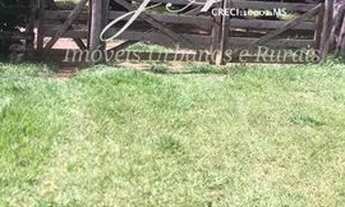 Imagem 2: Ótima Chácara 15,6 em Terenos