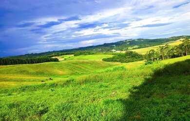Imagem 4: Lote/Terreno para venda tem 500 metros quadrados em Centro - Cotia - SP