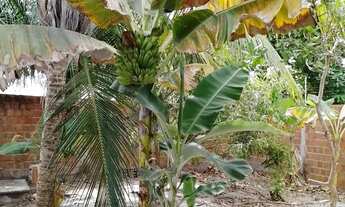 Imagem 3: Região do Eusébio Vendo Casa com galpão metálico 360 m2 com Escritura e IPTU