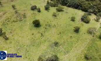 Imagem 5: Chácara Escriturada 6 Alqueires com Água e Curral Pirenópolis-GO