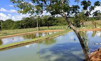 Imagem 3: Chácara a venda em Heitorai - Goiás!!!