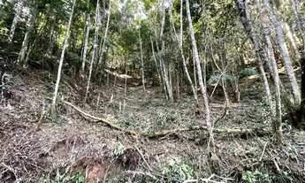 Imagem 7: Terreno com 5.115 m² à venda em Suzano - SP por R$ 169.000,00