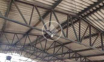 Imagem 5: Trindade - Fazenda de 46 Hectares codigo: 136802