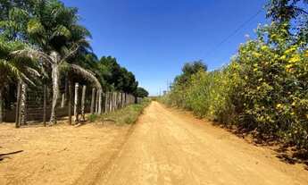 Imagem 2: Vendo Chácara na Radiobrás 2,5 hectares