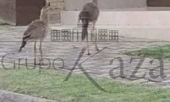 Imagem 6: Terreno Condomínio - Condomínio Reserva do Paratehy - 714,55m²