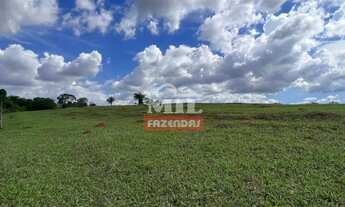 Imagem: Chácara 4 alqueires (19,72 hectares) Goianira