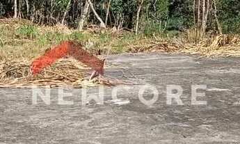 Imagem: Lote em Rodovia SP 57 - jacuba - Juquitiba/SP