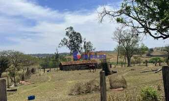 Imagem 4: Sítio com 4 dormitórios à venda, 172062 m² por R$ 2.100.000,00 - Vila Ventura - Ibirá/SP