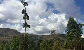 Imagem 6: Terrenos Amplos para Construção de Chácaras ou Airbnb Pronto para Lucrar em 180 dias!