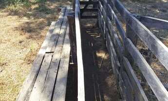 Imagem 6: Fazenda de 114,7 hectares toda plana, toda cercada no arame liso com Rio de grande porte