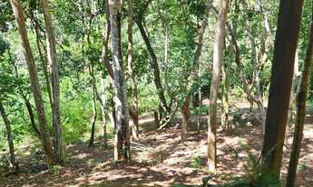 Imagem 5: Chácara com 6 suítes para já iniciar alugando temporada em Nova Guarapari