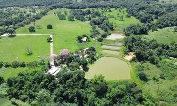 Imagem 4: Chácara de 8.5 alqueires