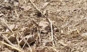 Imagem 6: Lote com 400 metros, linda vista