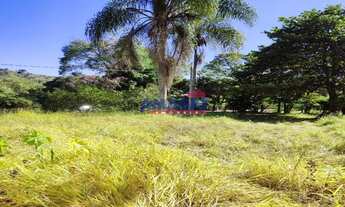 Imagem 3: Terreno margeando o Rio Paraíba , plano, para chácara em Jacareí
