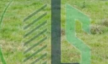 Imagem 6: Área de 482 hectares