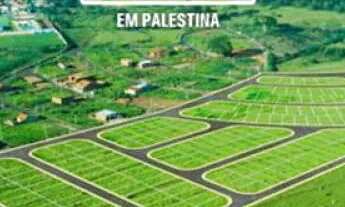 Imagem 4: Terreno Padrão em Palestina
