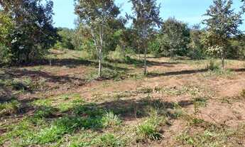 Imagem 4: Fazenda em campo florido minas