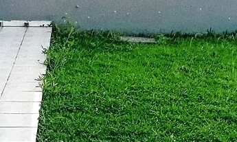 Imagem 4: Sobrado locação em santa felicidade (3 dormitórios+ 1 suíte) anúncio imobiliária