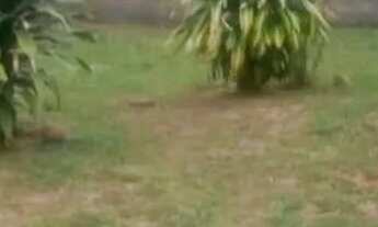 Imagem 3: Oportunidade fora de condomínio