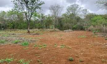Imagem 5: Sítio 20.000m², casa de 2 quartos, poço artesiano, pomar, a 30min da Serra do Cipó