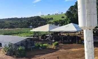 Imagem 6: Fazenda Arrendamento 1.400hec plantando, + 6.600 pra abrir aos poucos em torixoreu MT