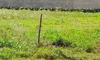 Imagem 7: Terreno à venda, 829 m² por R$ 1.320.000,00 - Jardim Nova Aliança Sul - Ribeirão Preto/SP