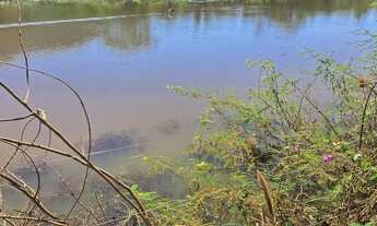 Imagem: Fazenda de 114,7 hectares toda plana, toda