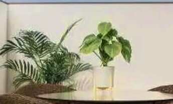 Imagem 6: Studio no Navi Garcia com 1 dormitório à venda, 30 m² por R$ 351.484 - Boqueirão - Curitib