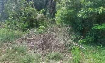 Imagem 2: Dois Lotes de terras a 2 km da Praia do Açutuba