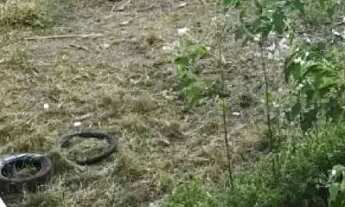 Imagem 2: Vendo Terreno Murado para investimento no Dezoito do Forte