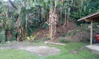 Imagem 6: Vendo chácara com um lindo chalé rústico poucas coisas pra finalizar