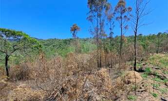 Imagem 7: Terreno à venda em Remédios - SP