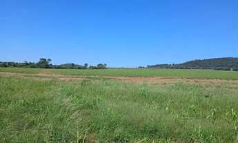 Imagem 5: FAZENDA DE CULTURA C/ PIVÔS EM MORRINHOS 71,5 ALQUERES - Morrinhos - GO